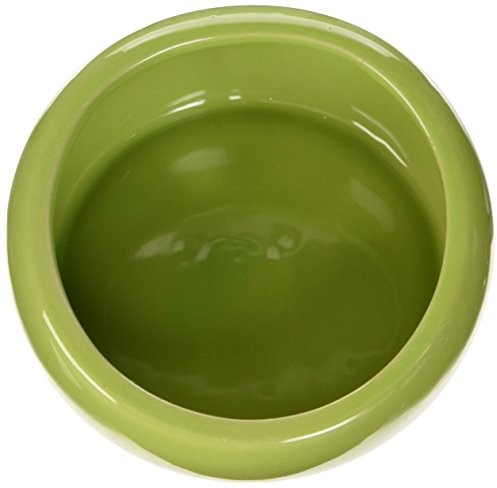 Living World ergonomiczna ceramiczna miska dla małych zwierząt, zielony 61681