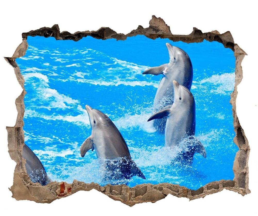 Wallmuralia.pl Dziura 3d fototapeta na ścianę naklejka Delfiny