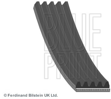 BLUE PRINT Pasek klinowy wielorowkowy BLUE PRINT AD05R1094