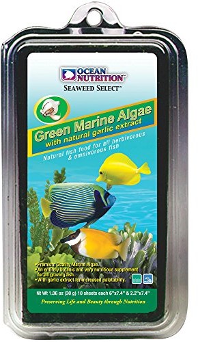 Ocean Nutrition postępowania ocn SS Marine Algae GRN LG 30 gr by