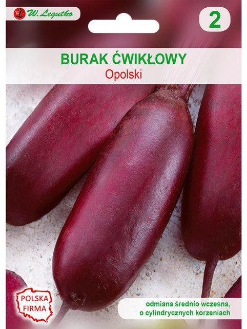 Legutko Burak ćwikłowy OPOLSKI CYLINDRYCZNY