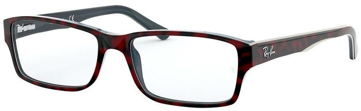 Ray Ban R 5169 2034