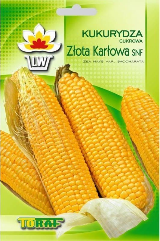 Toraf Kukurydza Złota Karłowa nasiona warzyw 20g 00140