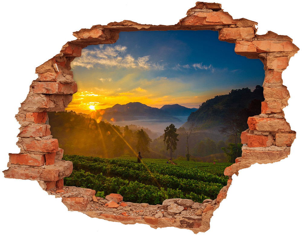 Wallmuralia.pl Dziura 3d w ścianie naklejka Plantacja herbaty