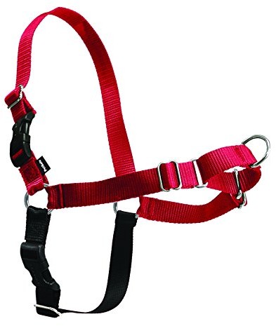 PetSafe Naczynia do Easy Walk -, s, czerwony/czarny EWH-HC-S-RED