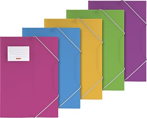 Baier & Schneider Brunnen 104160498 teczka kolekcjonerska FACT!pp (A4, przezroczysta folia PP, z gumowym ściągaczem, z tabliczką na nazwisko) sortowana