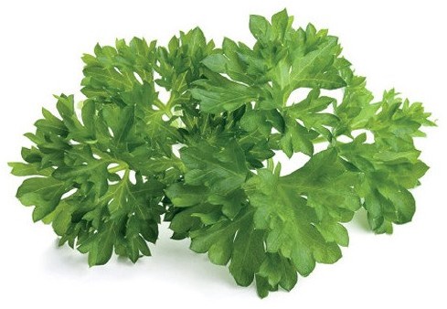 Click&Grow Kapsułki z nasionami Smart Soil 3 szt. pietruszka 4742793007359