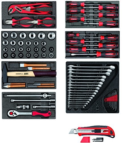 Gedore Red r21010000 zestaw narzędzi w modułów z pianki, 81-częściowy
