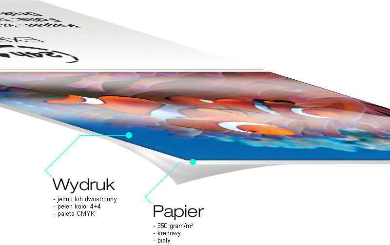 Veraprint Wizytówki EXPRESS 200 szt.