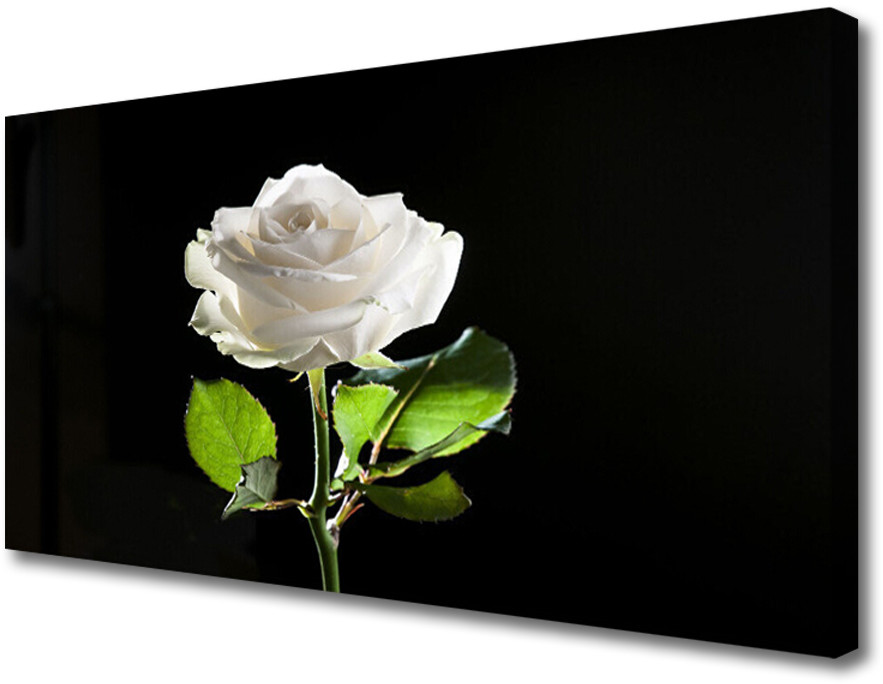 PL Tulup Obraz Canvas Róża Kwiat Roślina Natura 120x60cm