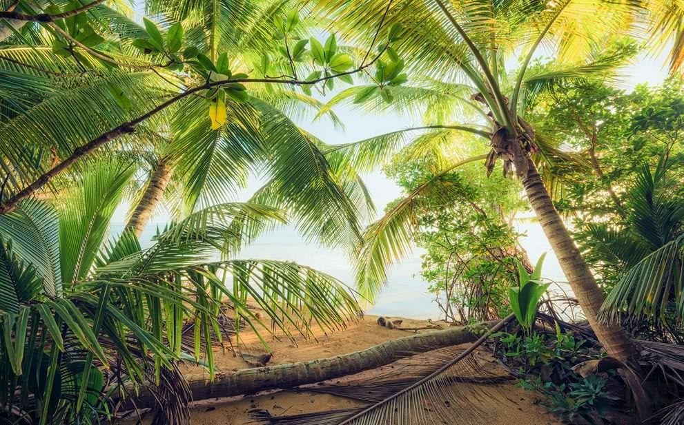 Komar Fototapeta Piratenversteck SHX9-070 SHX9-070