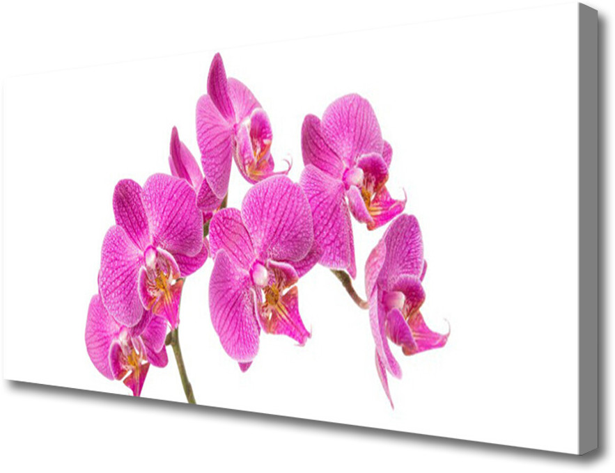 PL Tulup Obraz Canvas Orchidea Kwiaty Natura 120x60cm