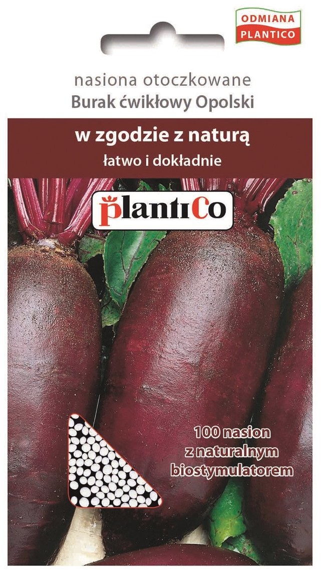 Plantico Burak ćwikłowy Opolski otoczkowana