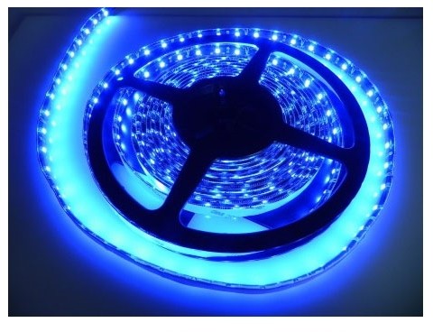 Greenlux LED taśma wodoodporna 5m IP65 niebieska- GXLS014