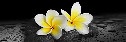 Pro-Art-Bilderpalette Pro-Art g5115 m obraz ścienny Giclee 