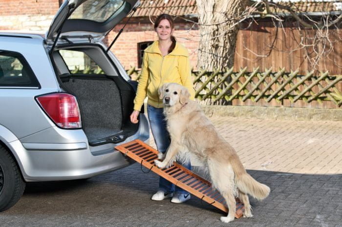 Karlie rampa dla psa DOG ramp składana wymiary 120x30x6 cm