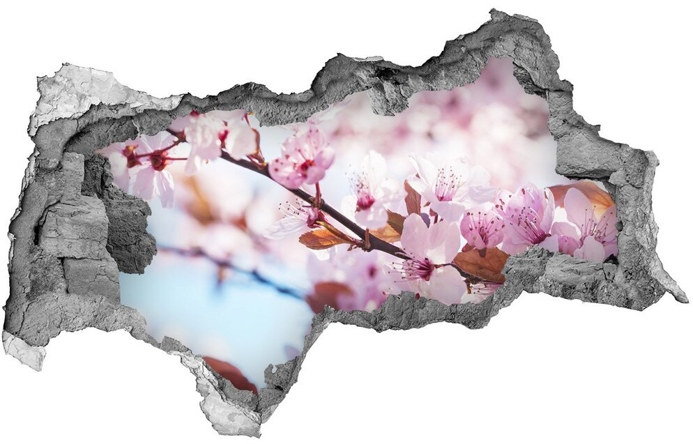 Wallmuralia.pl Samoprzylepna dziura naklejka Kwiaty wiśni