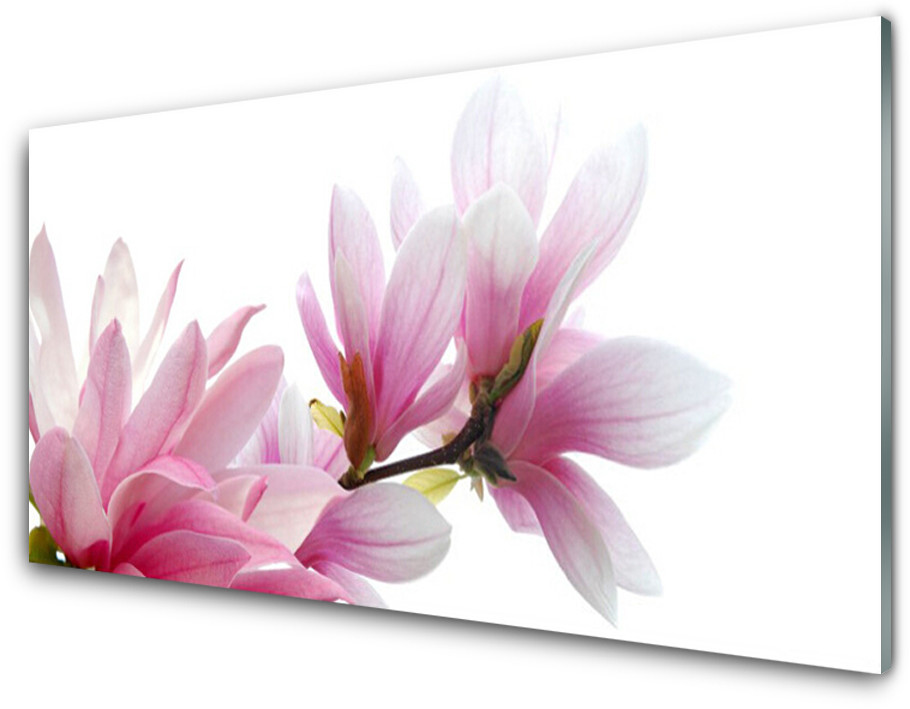 Tulup.pl Panel Kuchenny Magnolia Kwiat 100x50cm