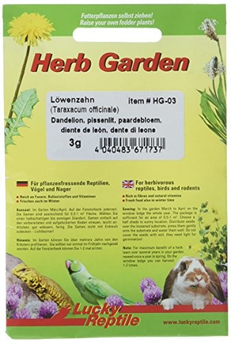 Lucky Reptile herb Garden nasiona mieszanka, 3 g HG-03