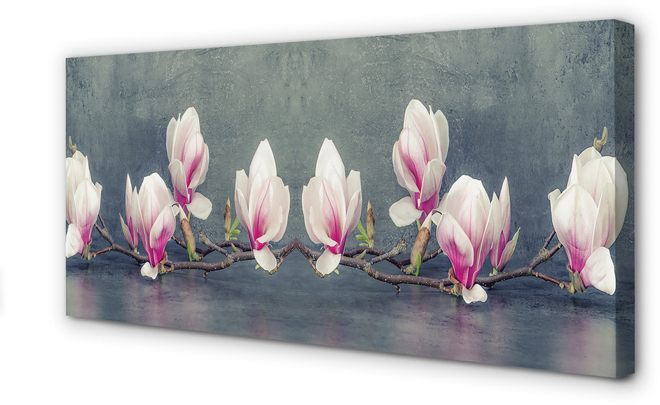 PL Tulup Obrazy na płótnie Gałąź magnolii 100x50cm