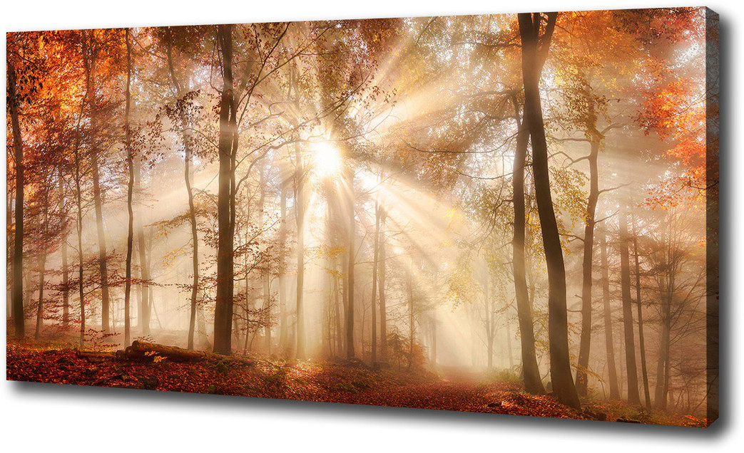 Foto obraz na płótnie Mgła w lesie jesień