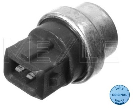 Wulf Gaertner Autoparts Czujnik, temperatura płynu chłodzącego Wulf Gaertner Autoparts 100 800 9050