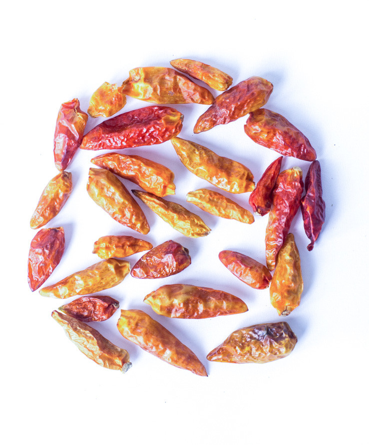 Planteon Papryka chilli Bird Eyes, Piri Piri 10kg 2-0032-15-7