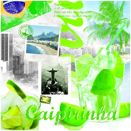 Nuova R2S R2S Serwetki stołowe R2S 20 szt 418 PIRI