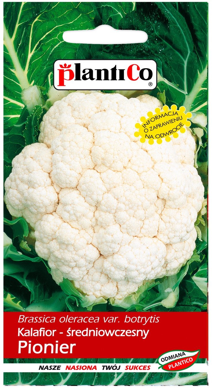 Plantico Kalafior Pionier