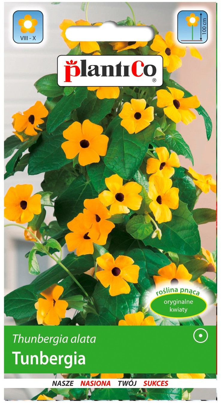 Plantico Thunbergia