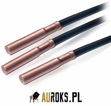TECH STEROWNIKI CZUJNIK TEMPERATURY PODŁOGI NTC 2,5MB P_002.02.1.AC1.250