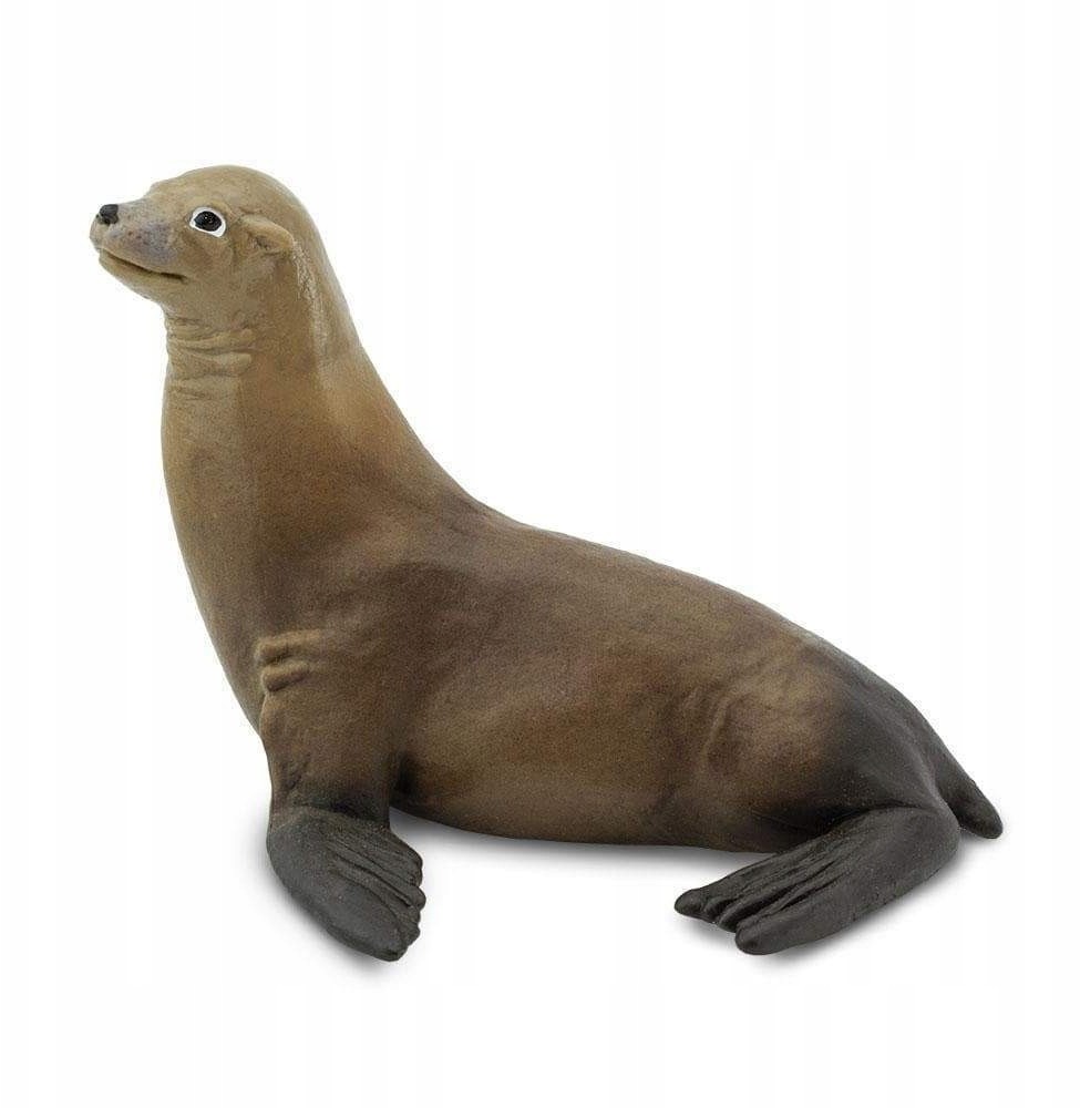 Safari Lew Morski - Sea Lion - Ltd. - 274229