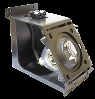 Samsung Lampa do BP96-01073A - oryginalna lampa w nieoryginalnym module BP96-01073A / BP96-01074A