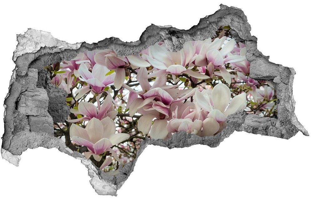 Wallmuralia.pl Samoprzylepna naklejka fototapeta Kwiaty magnolii