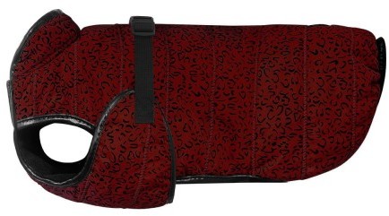 Chaba Kubrak TOKYO 6 - maroon