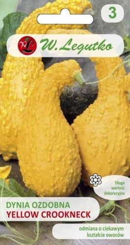 Legutko Dynia zwyczajna ozdobna Yellow Croockneck złotożółte 5903837102273