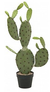 Europalms EUROPALMS Kaktus nopal, sztuczna roślina, 75 cm 82600068