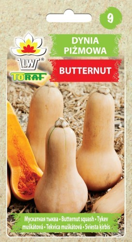 Toraf Dynia piżmowa Butternut 5g Nas000539