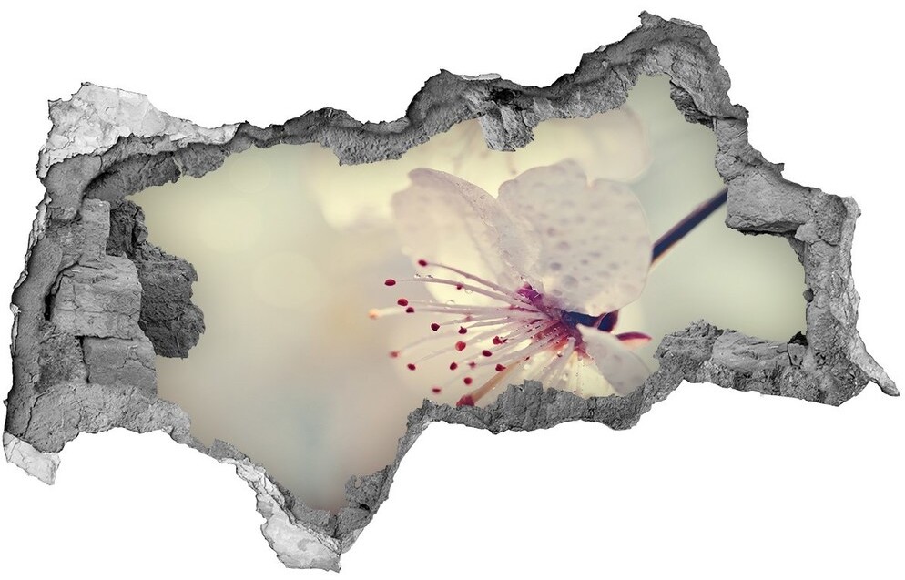 Wallmuralia.pl Samoprzylepna naklejka na ścianę Kwiat wiśni