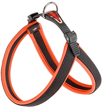 Ferplast Agila Neon 3 zakładanymi na co dzień, pomarańczowy 42 cm x 50 cm X 15 MM