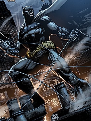 Batman rooftop nadruki na płótnie 60 x 80 cm, wielokolorowa WDC99597