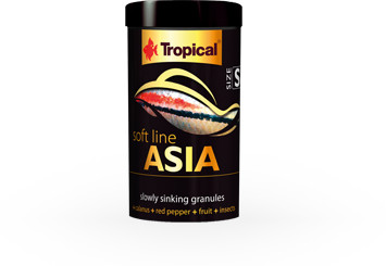 Tropical SOFT LINE ASIA 