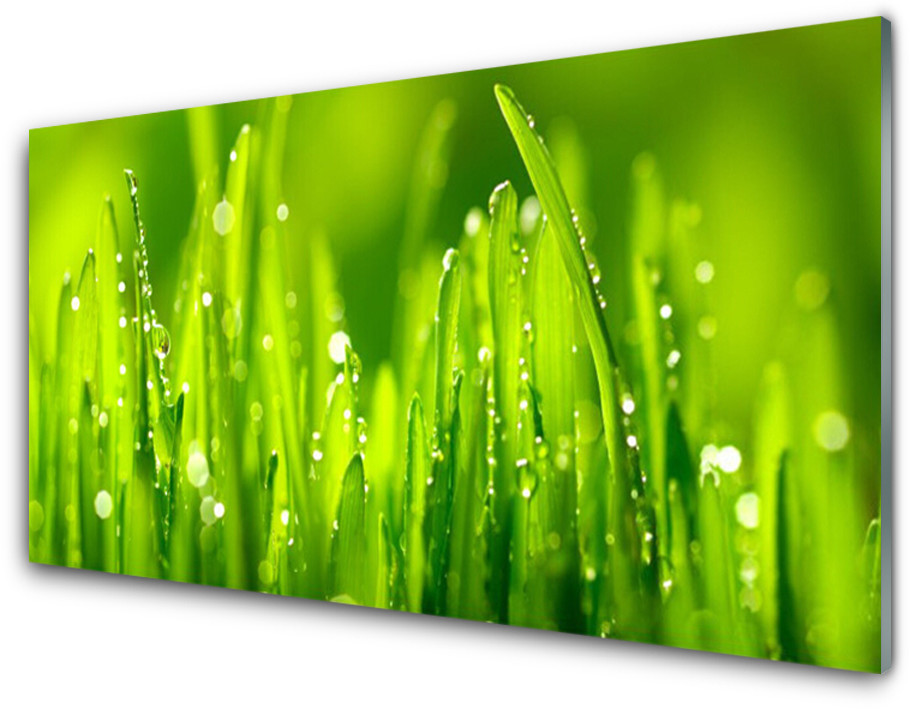 Tulup.pl Panel Szklany Zielona Trawa Krople Rosy 120x60cm