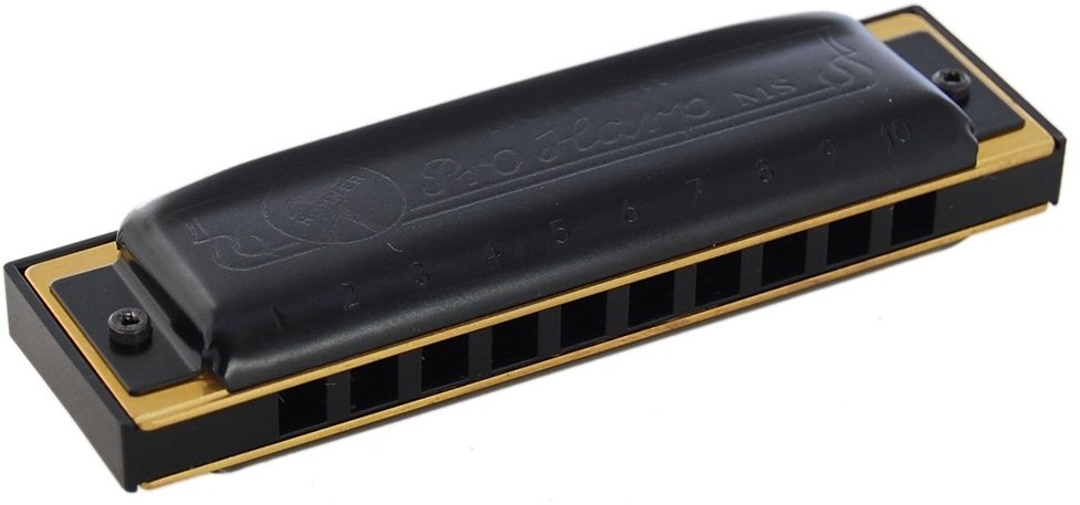 Hohner Harmonijka ustna Pro Harp MS - tonacja C