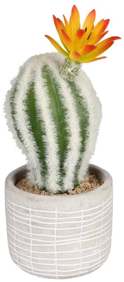 SPLENDID Kaktus sztuczny w doniczce 18 cm SPLENDID