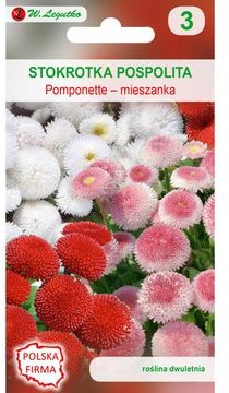 Legutko Stokrotka pospolita Pomponette MIESZANKA