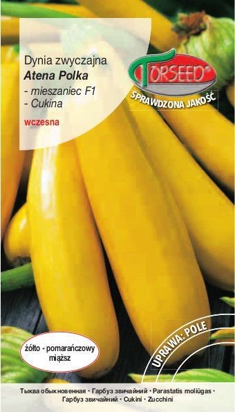 Torseed Nasiona Dynia zwyczajna Cukinia Atena Polka F1-żółta 2g Torseed3404