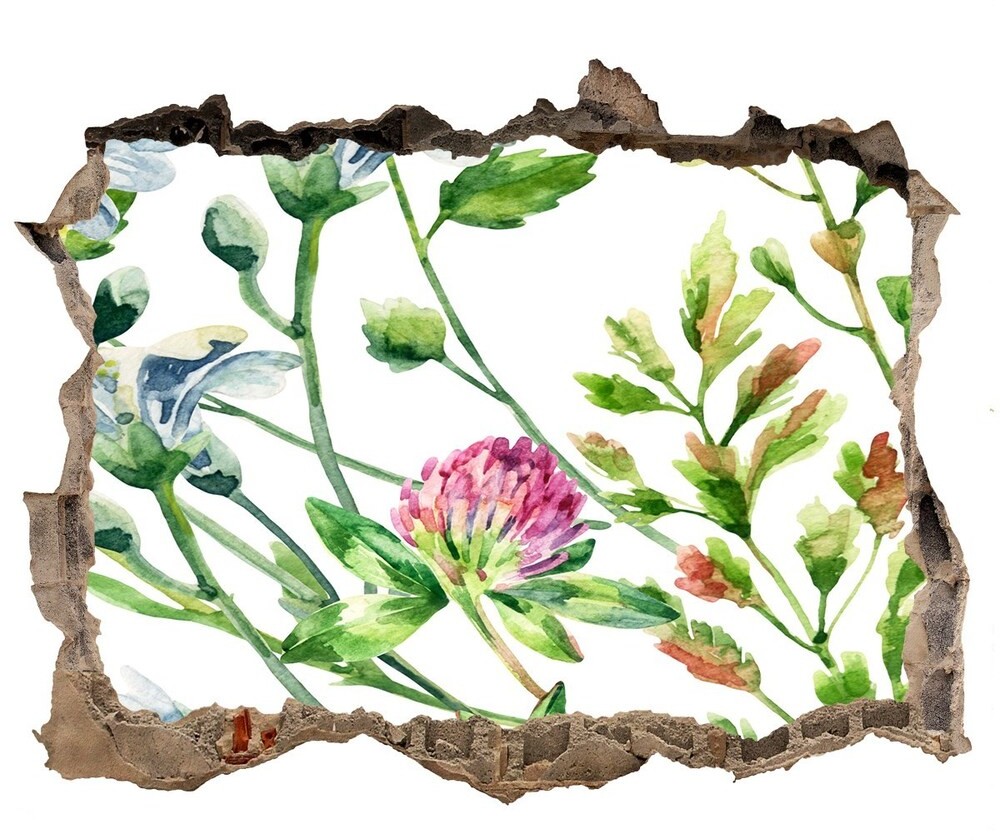 Wallmuralia.pl Naklejka 3D dziura na ścianę Dzikie kwiaty