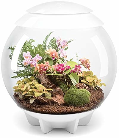 biOrb biorb Air Biały terrarium kompletny zestaw, wzornictwo, z wewnętrznym i efekt mgły