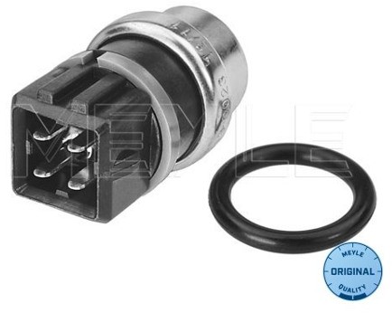 Wulf Gaertner Autoparts Czujnik, temperatura płynu chłodzącego Wulf Gaertner Autoparts 100 919 0023 100 919 0023